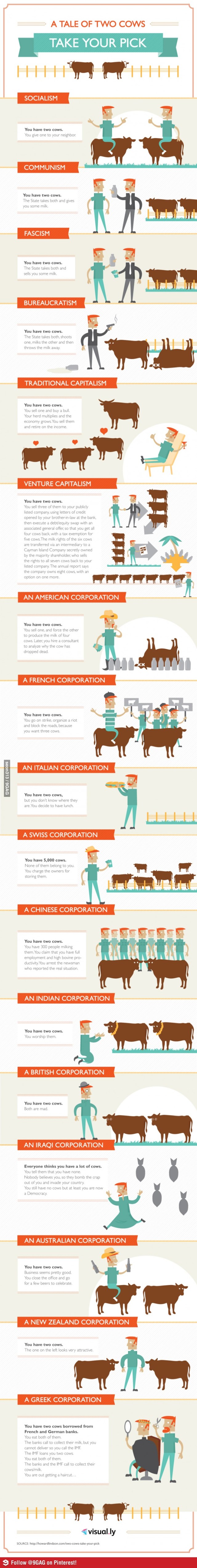 Two Cows - Economics In One Lesson!