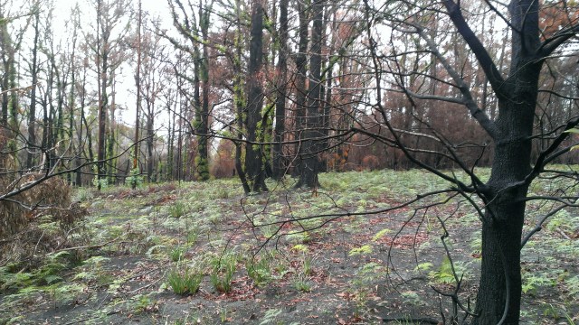 Same place, 20 April